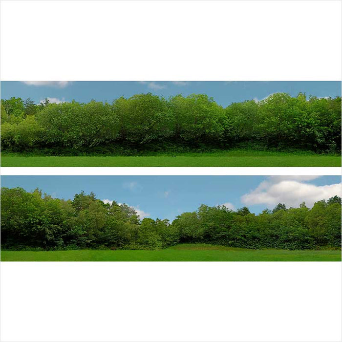 OO Scale | Tall Trees Backscene - ID149C