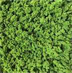 Scenic Scatter - Verde fresco 30g