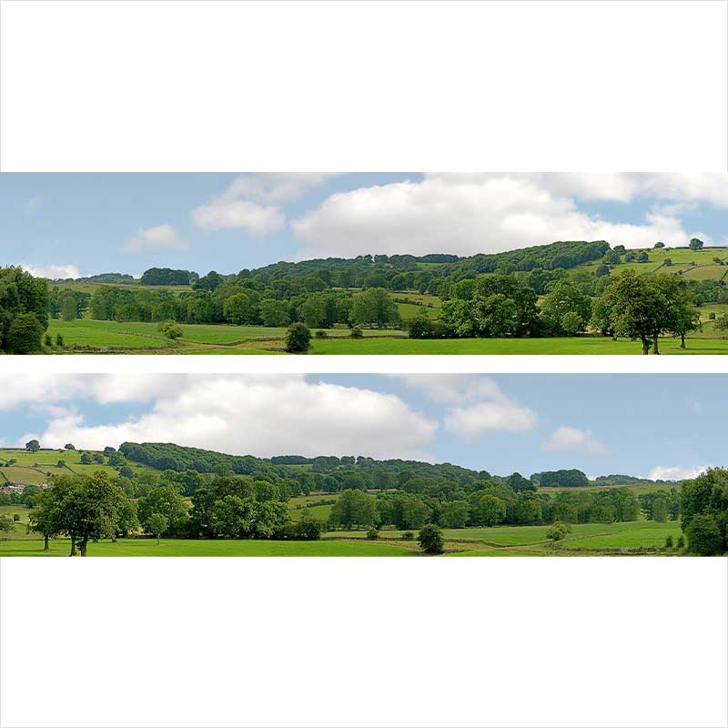 Scala OO | Scenario lungo del villaggio - ID202A