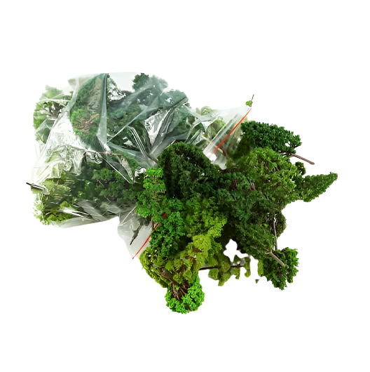 Scala OO | Albero misto (confezione da 30)