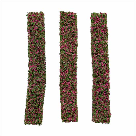 Scala OO | Sezione siepe (confezione da 3)