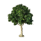 OO Scale Premium 25 Foot Sycamore Tree