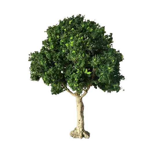 OO Scale Premium 25 Foot Sycamore Tree