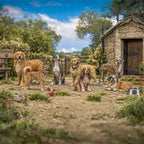 OO Scale Ready to Paint Dogs - Pack 2 (7 Figures)