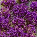 Flower Patches (32 pack)