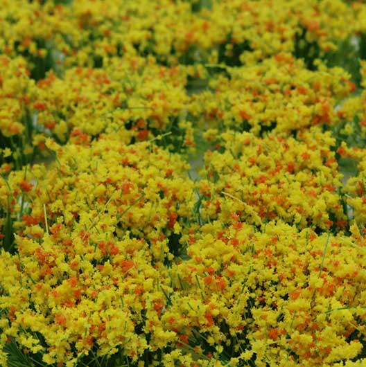 Scala OO | Toppe floreali (confezione da 28)