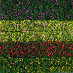 Scala OO | Sezione siepe (confezione da 3)