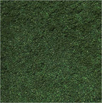 Scenic Scatter 30g