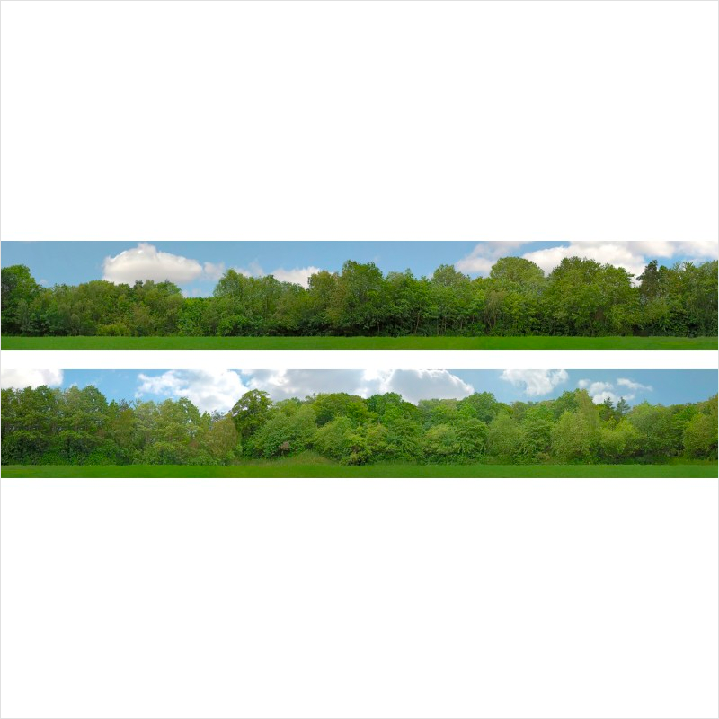 N Scale | Tall Trees Backscene - ID149NA