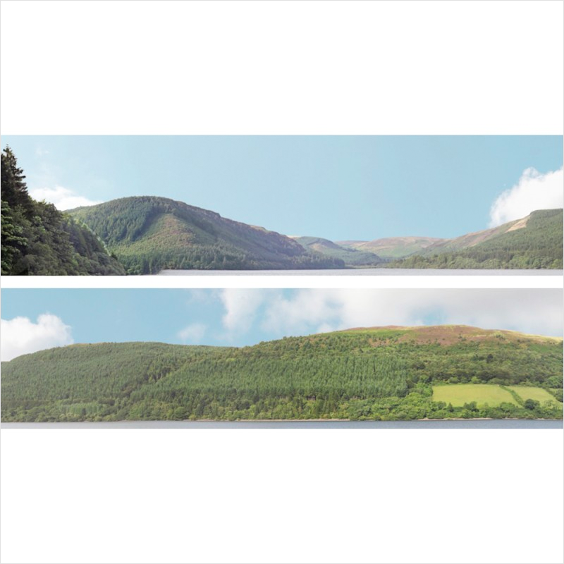 OO Scale | Forest Hills Backscene - 201A